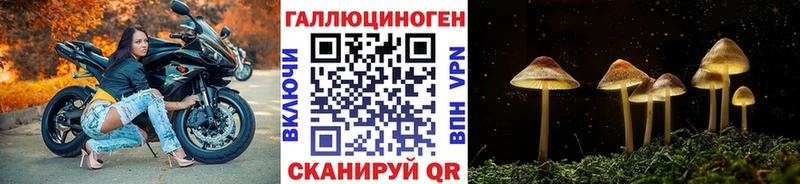Псилоцибиновые грибы Psilocybe Хасавюрт