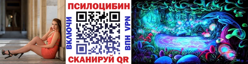 где продают   Хасавюрт  Галлюциногенные грибы GOLDEN TEACHER 